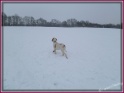 05-02-12 P1010938